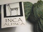 Inca Alpaca